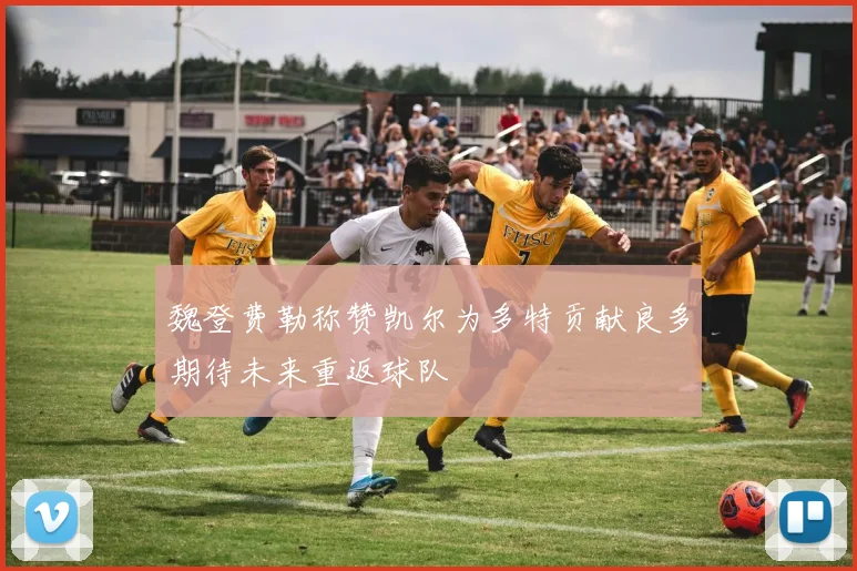 魏登费勒称赞凯尔为多特贡献良多期待未来重返球队